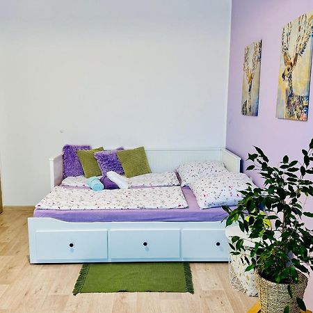 Garsonka Ve Dvore Dvůr Králové nad Labem Zewnętrze zdjęcie