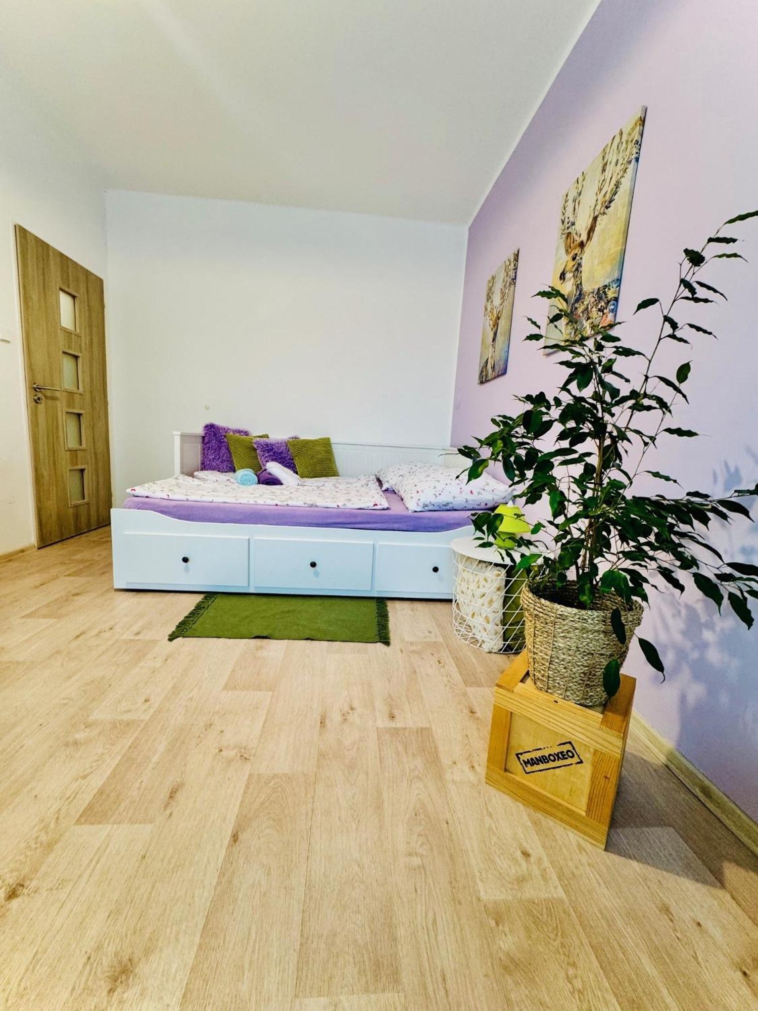 Garsonka Ve Dvore Dvůr Králové nad Labem Zewnętrze zdjęcie
